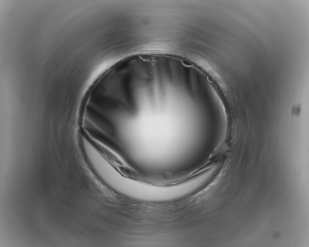 X0000096171469200802011307