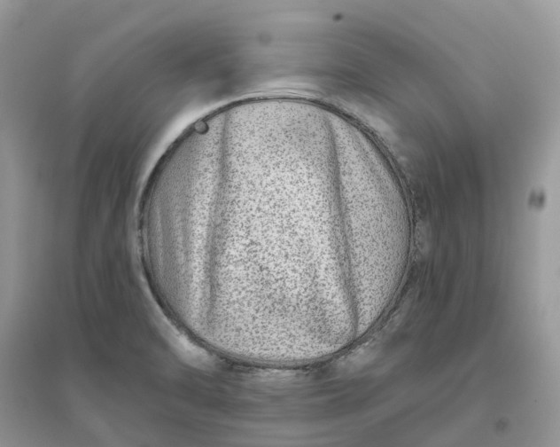 X0000096171470200802011307