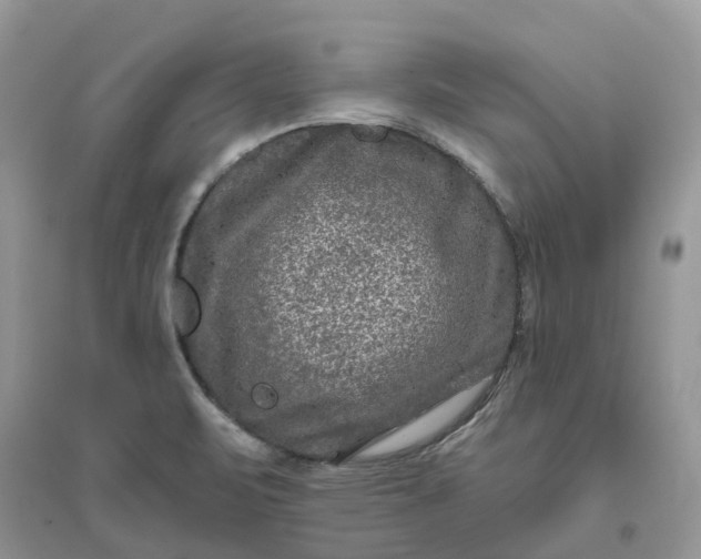 X0000096171471200802011307