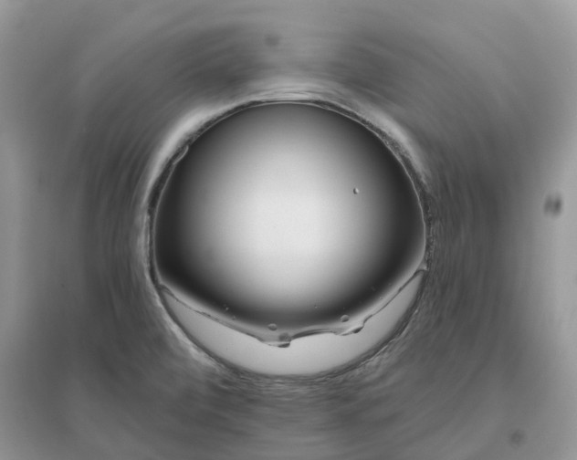 X0000096171472200802011307