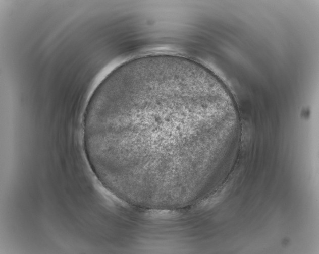 X0000096171474200802011307