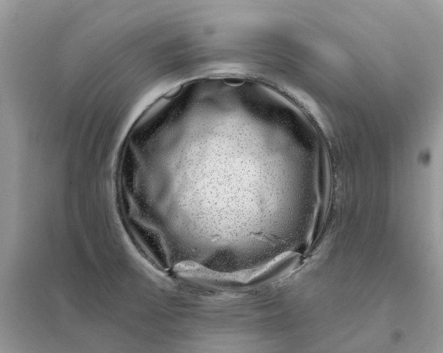 X0000096171475200802011307