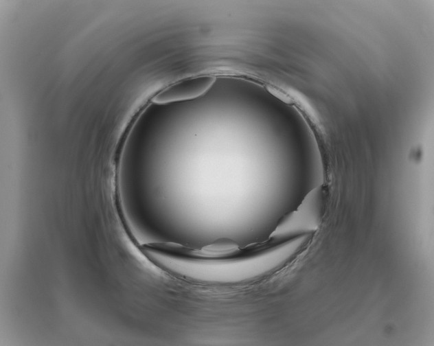 X0000096171476200802011307