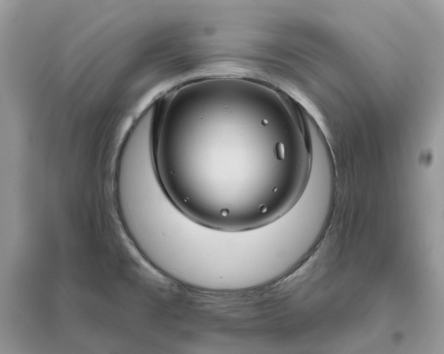 X0000096171477200802011307