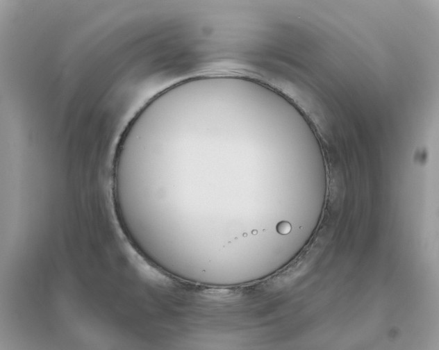 X0000096171478200802011307