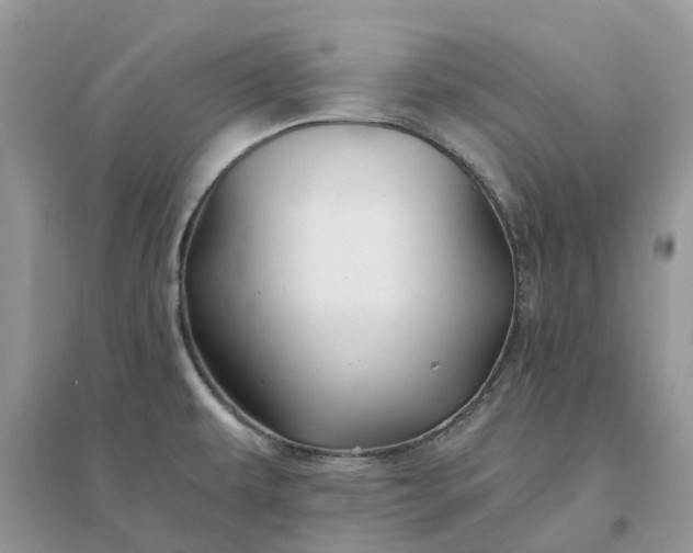 X0000096171479200802011307