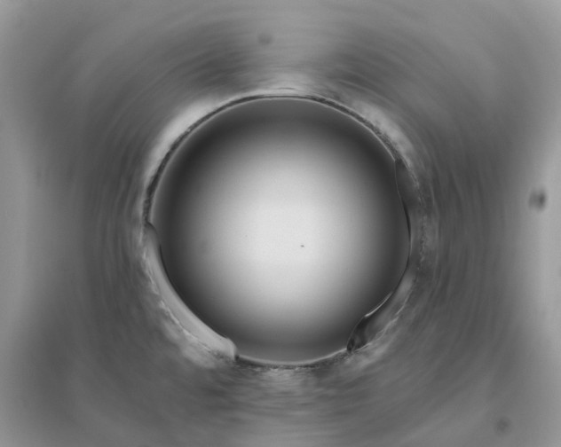 X0000096171480200802011307