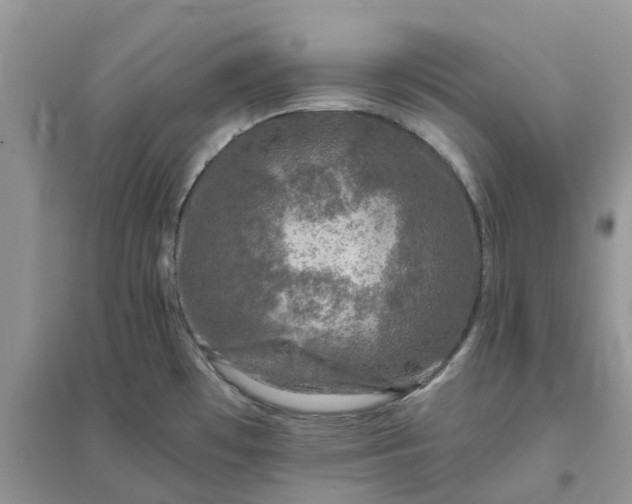 X0000096171481200802011307