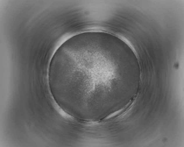 X0000096171482200802011307