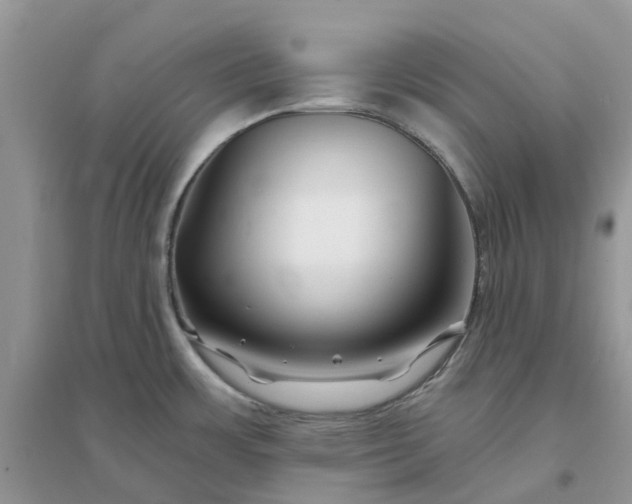 X0000096171483200802011307