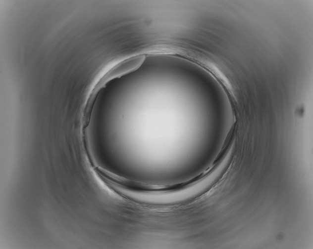 X0000096171484200802011307