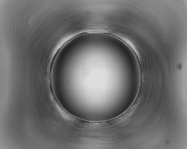 X0000096171485200802011307