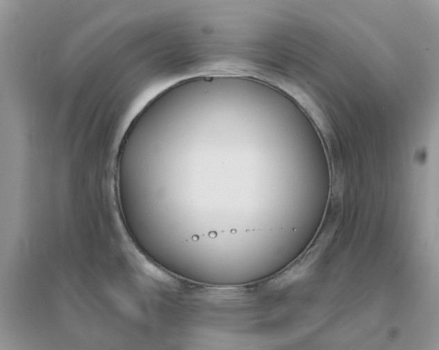 X0000096171486200802011307