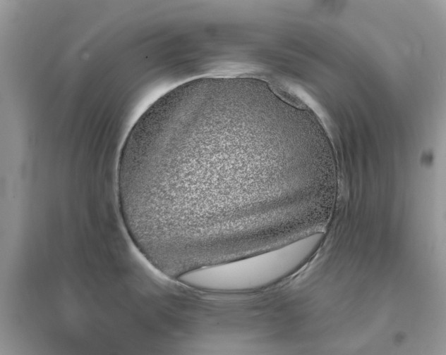 X0000096171487200802011307