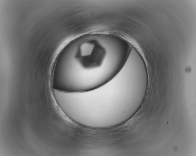 X0000096171488200802011307