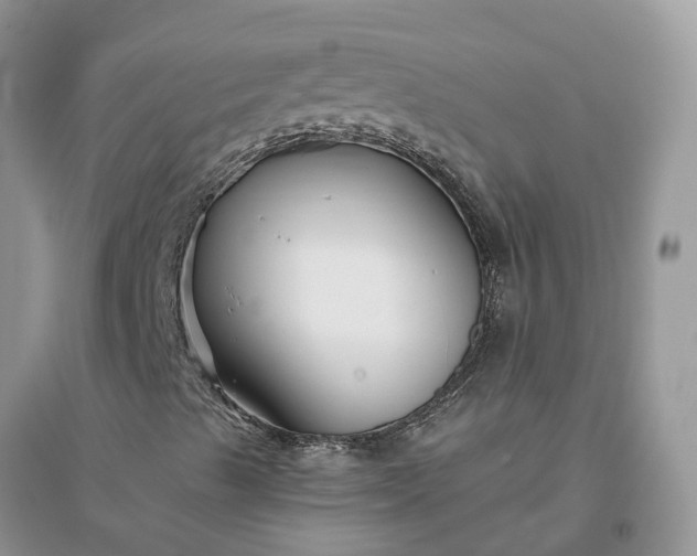 X0000096171489200802011306