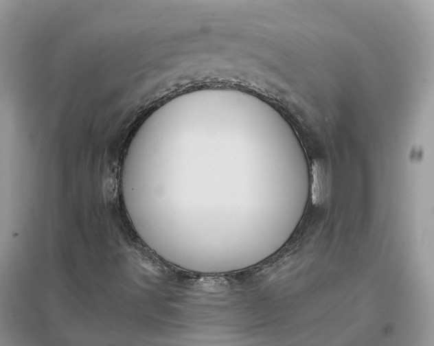 X0000096171491200802011306