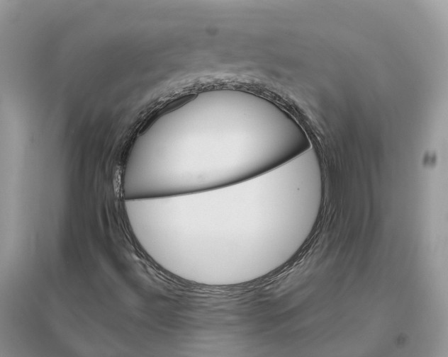 X0000096171492200802011306