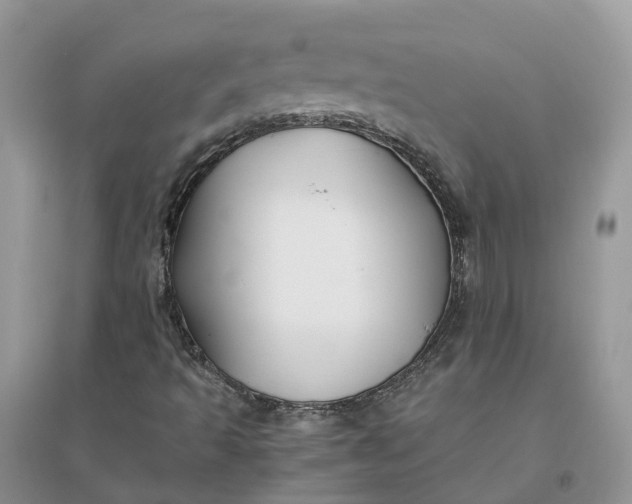 X0000096171493200802011306