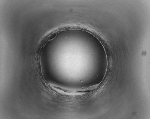 X0000096171494200802011306