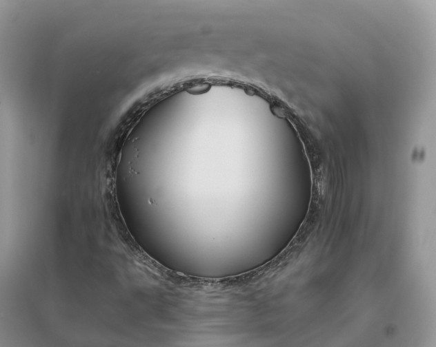 X0000096171495200802011306