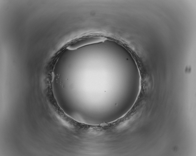 X0000096171496200802011306