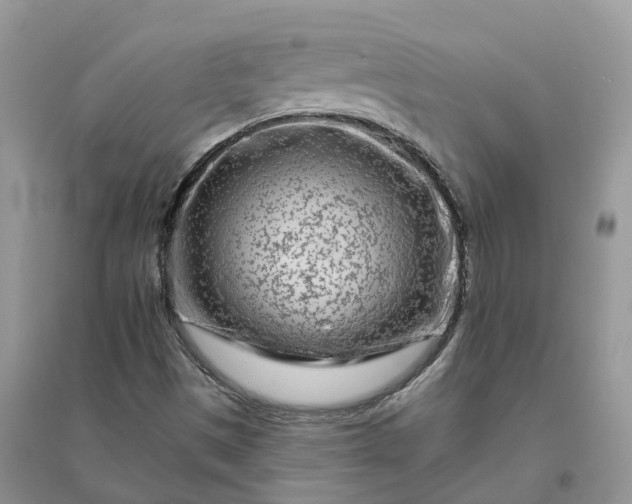 X0000096171497200802011306