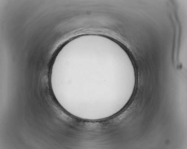 X0000096171498200802011306