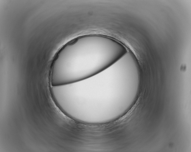 X0000096171500200802011306