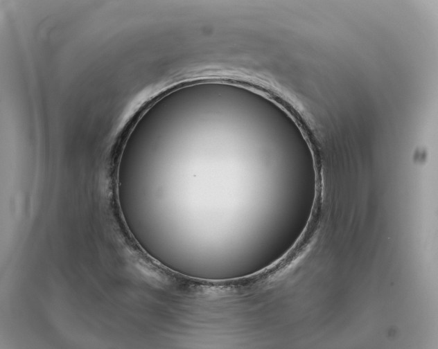 X0000096171501200802011306