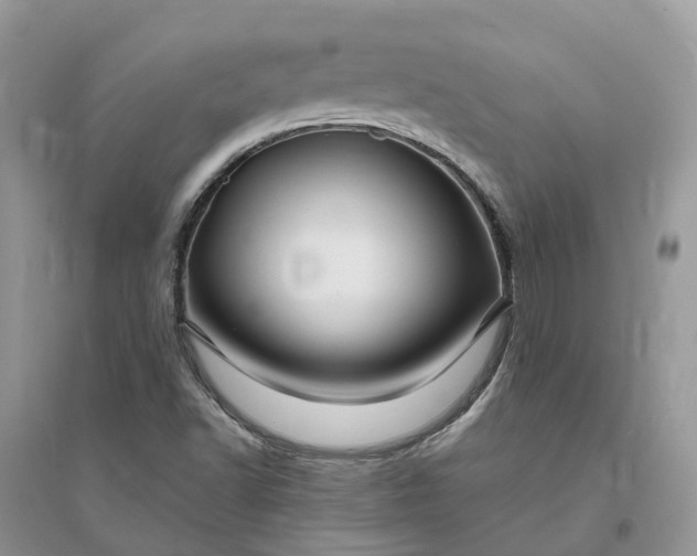 X0000096171502200802011306