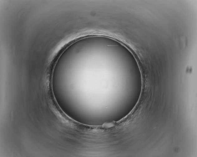 X0000096171503200802011306