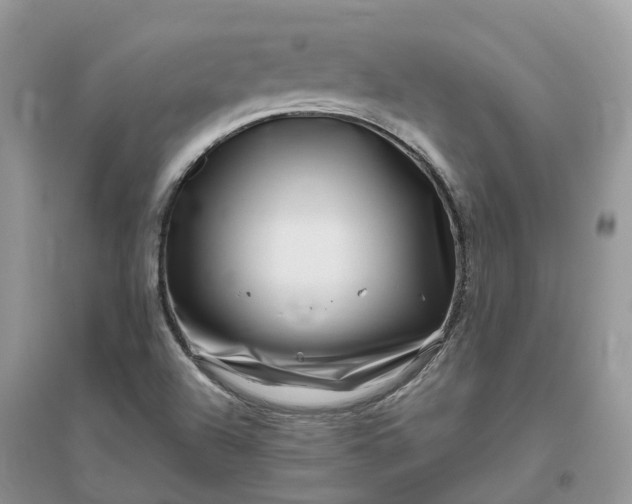 X0000096171504200802011306