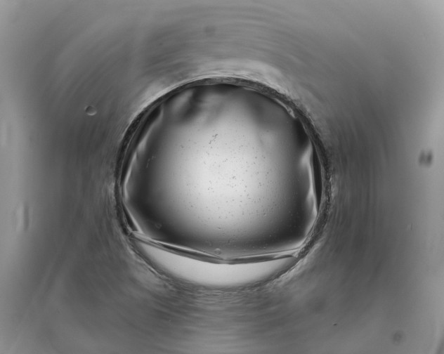 X0000096171505200802011306