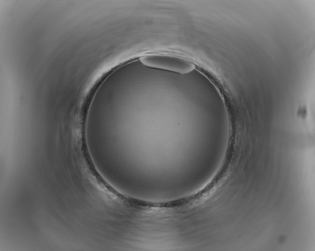 X0000096171506200802011306