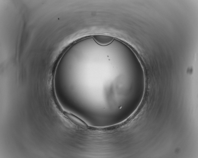 X0000096171507200802011306