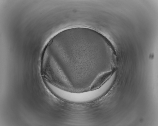 X0000096171508200802011306