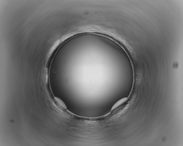 X0000096171509200802011306