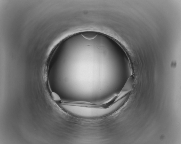 X0000096171510200802011306