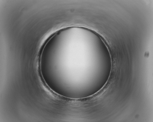 X0000096171511200802011307