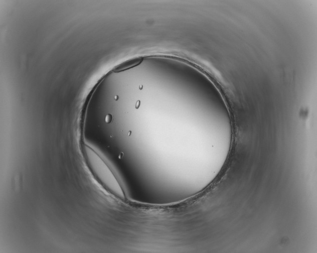 X0000096171512200802011307