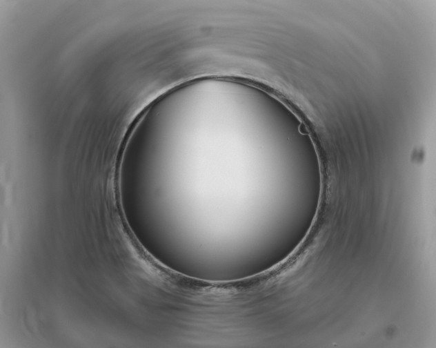 X0000096171513200802011307