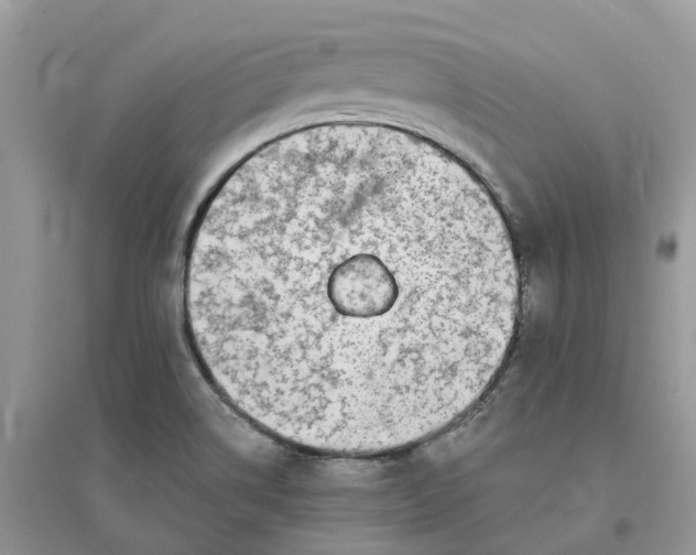 X0000096171514200802011307