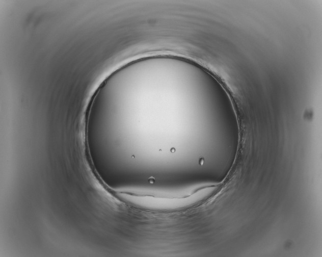 X0000096171516200802011307