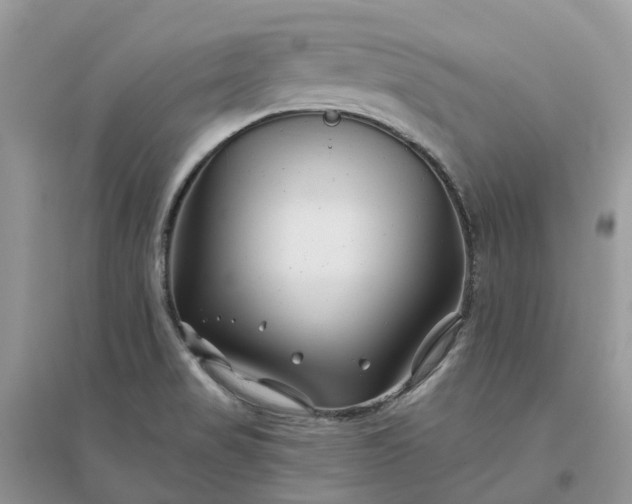 X0000096171517200802011307