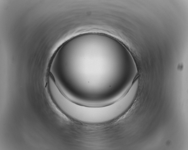 X0000096171518200802011307