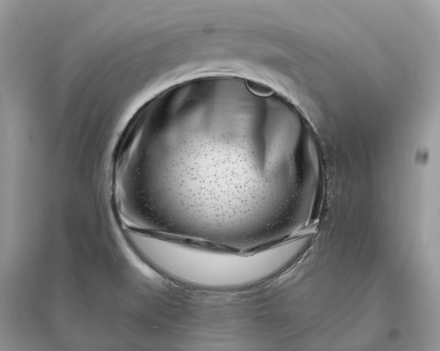 X0000096171519200802011307