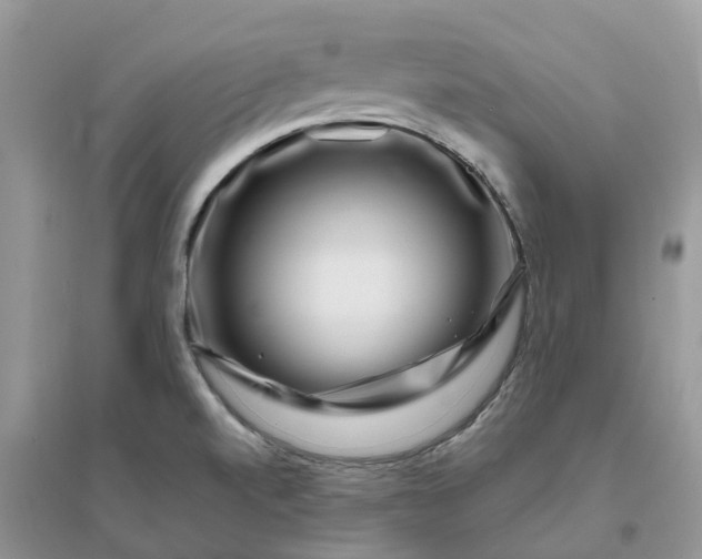 X0000096171520200802011307