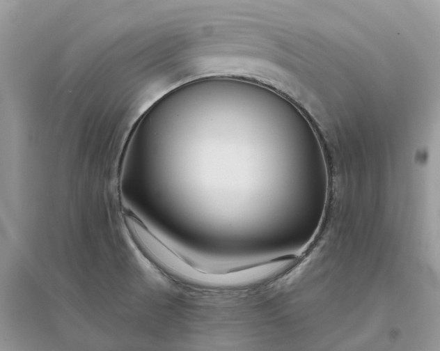 X0000096171521200802011307