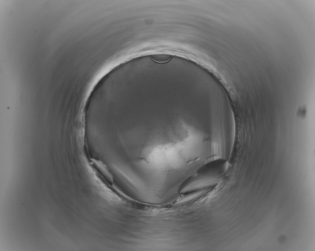 X0000096171522200802011307